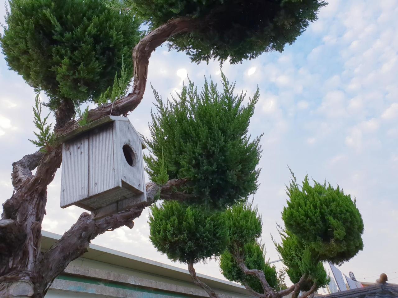Hanok Raon Gyeongju Eksteriør billede